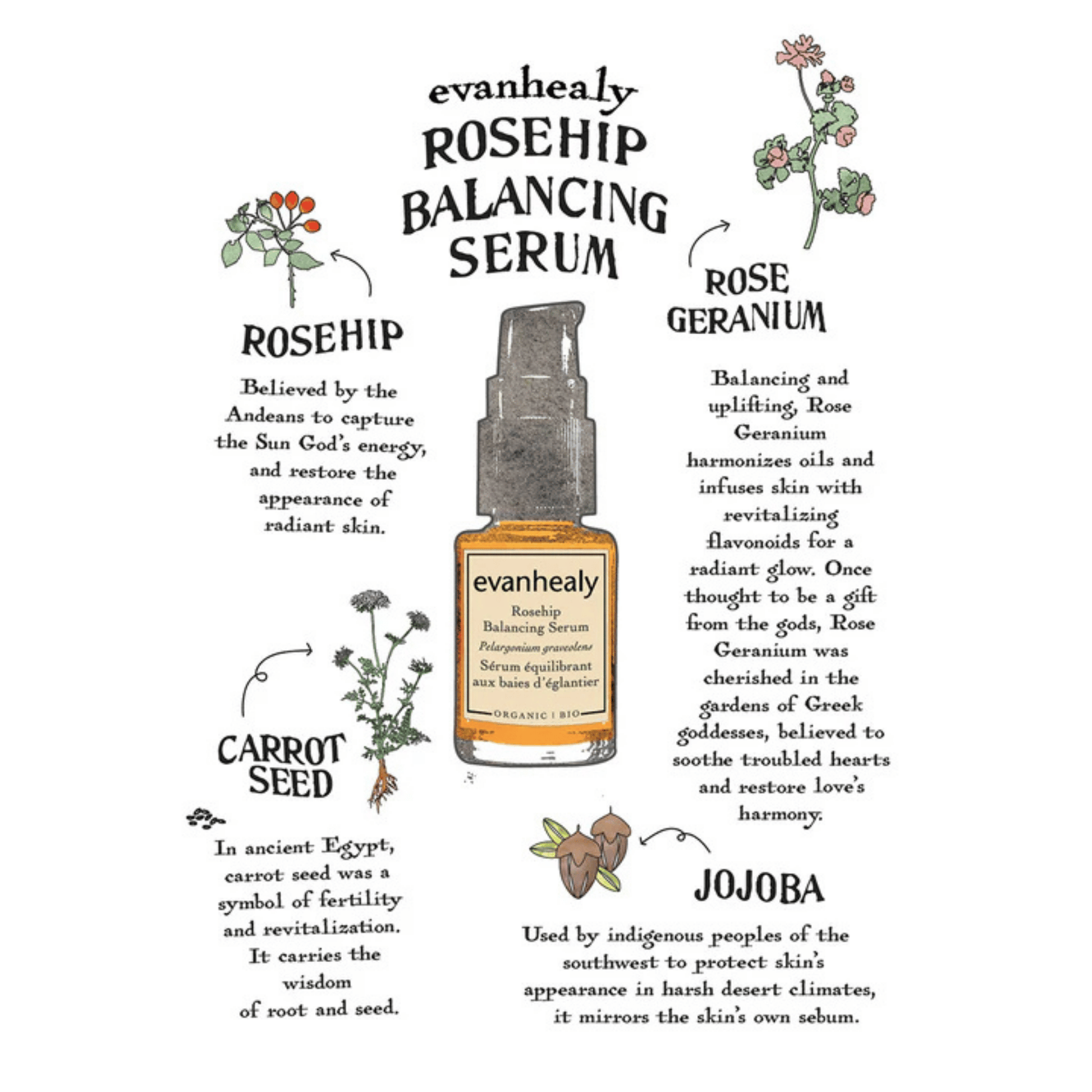 Alternate Image of Rosehip Balancing Serum