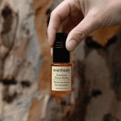 Alternate image of evanhealy Sanctuary Nectar Serum 