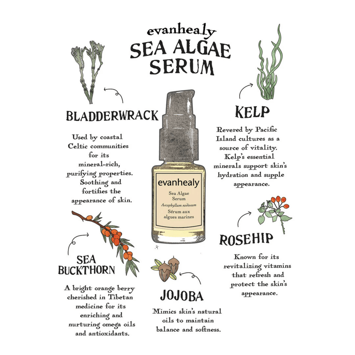 Alternate image of evanhealy Sea Algae Serum
