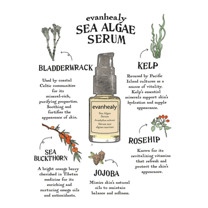 Alternate image of evanhealy Sea Algae Serum