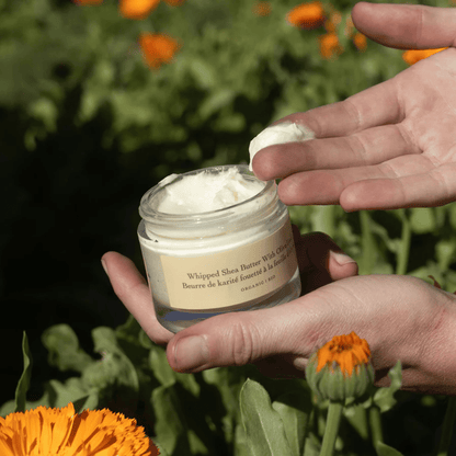 Alternate image of evanhealy Whipped Shea Butter with Olive Leaf