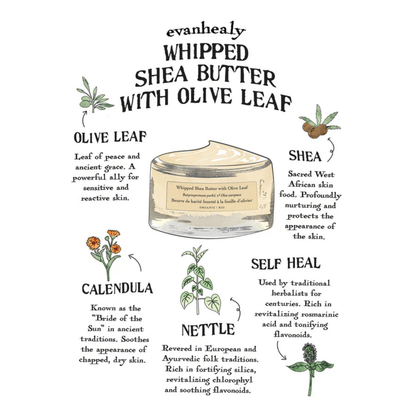 Alternate image of evanhealy Whipped Shea Butter with Olive Leaf
