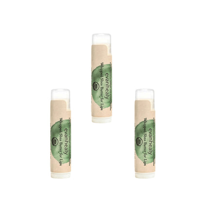 Primary Image of Whipped Shea Butter Lip Balm 3 Pack 0.25 oz, lip balms with green and beige label