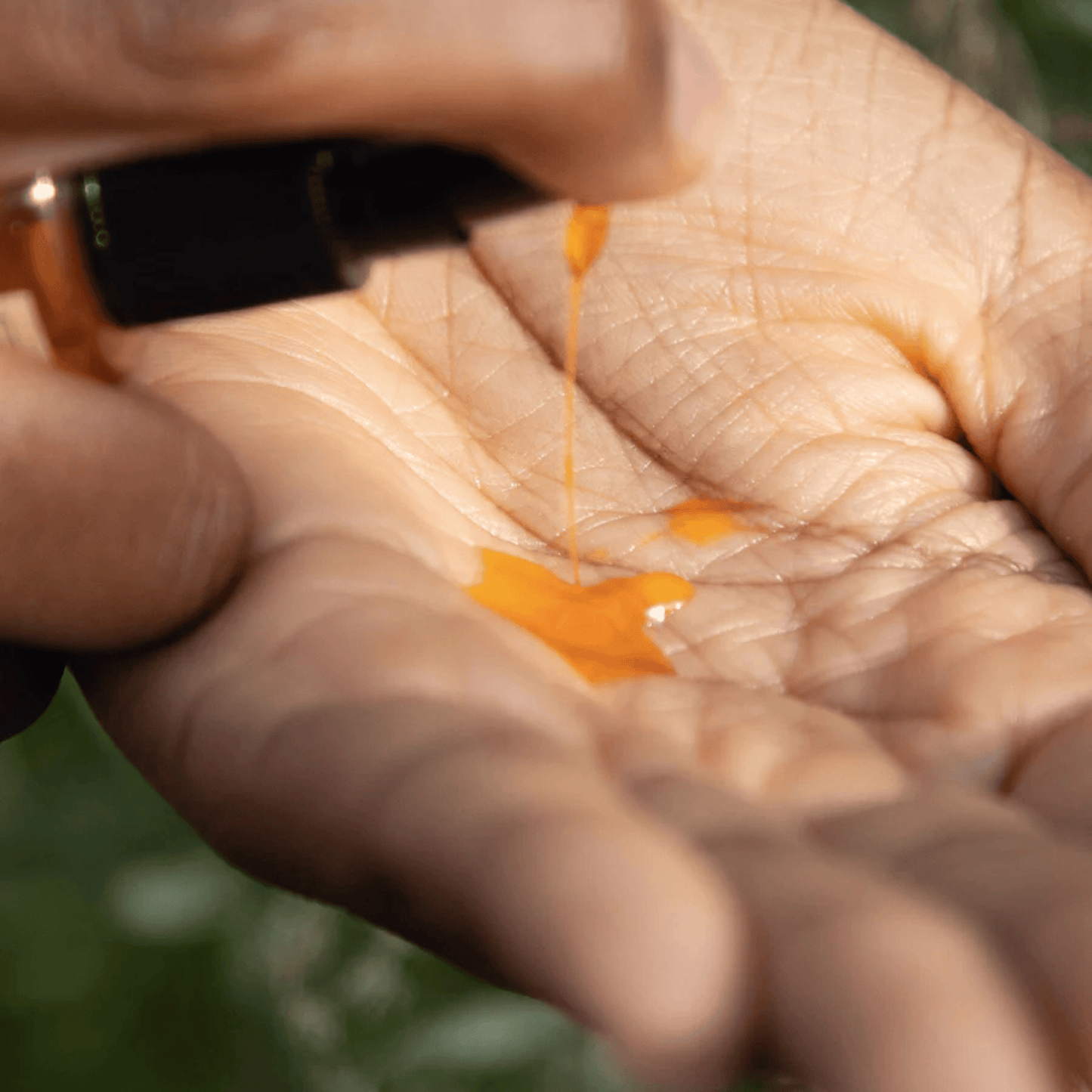 Alternate Image of Pomegranate Vitality Serum