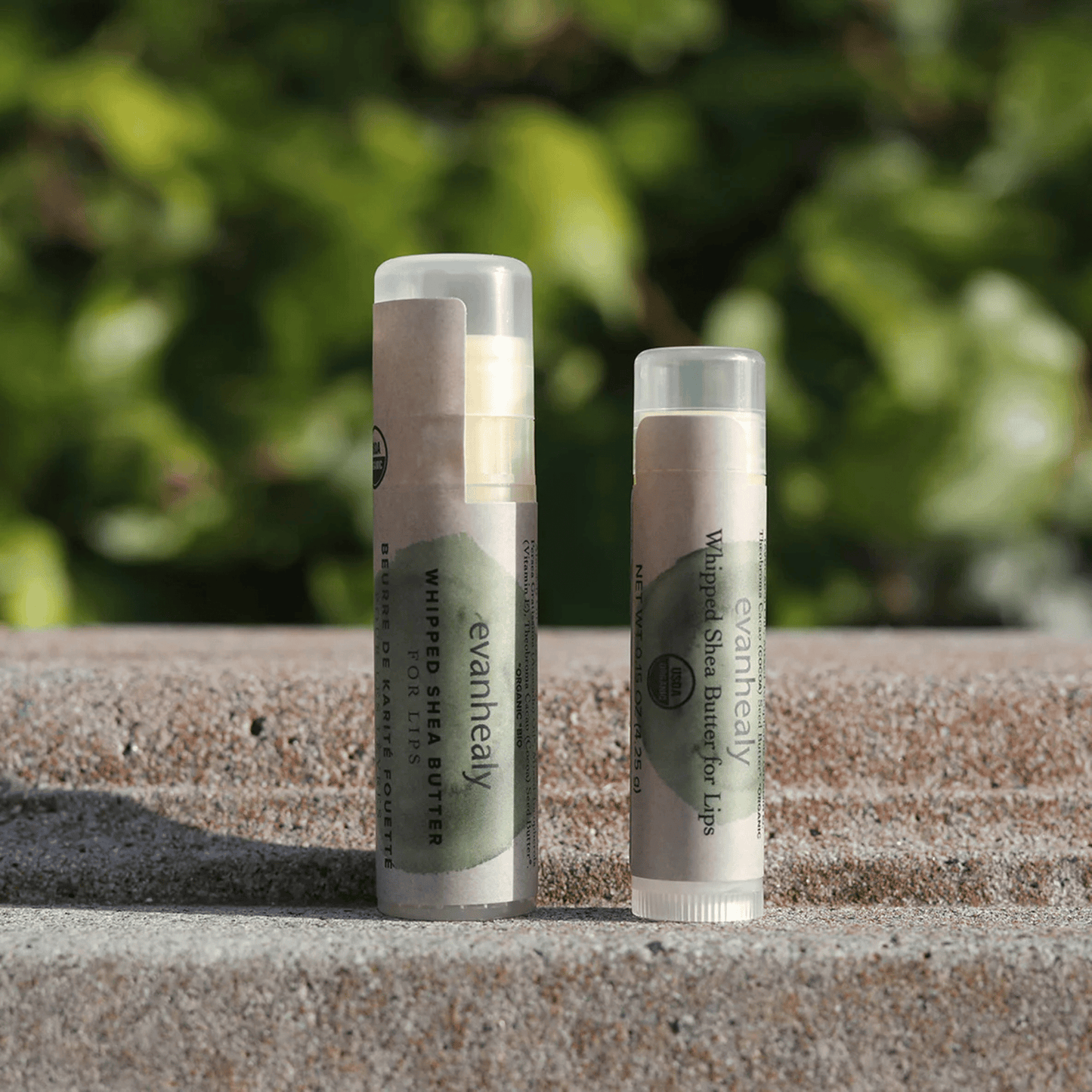 Alternate Image of Whipped Shea Butter Lip Balm, lip balm tube with green and beige label