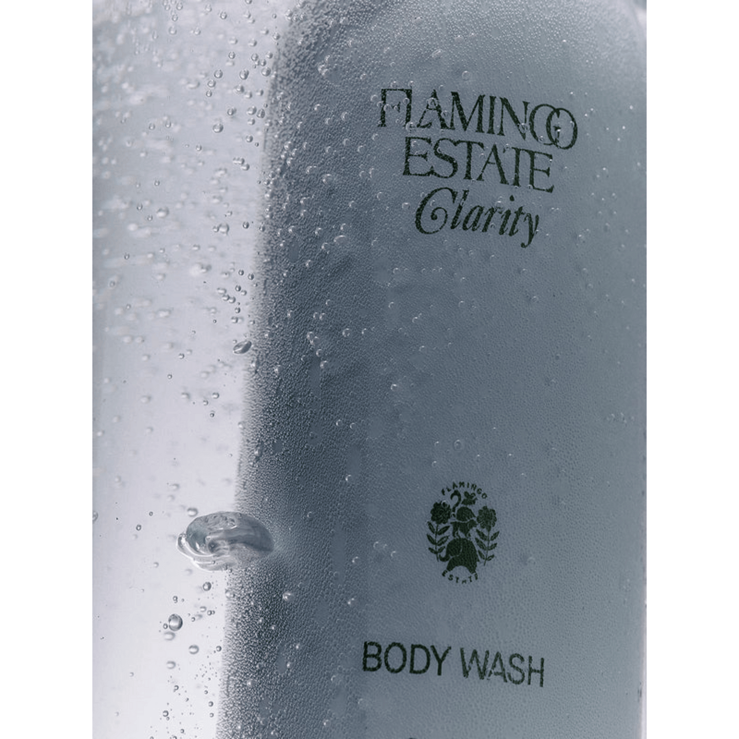 Alternate Image of Clarity Body Wash