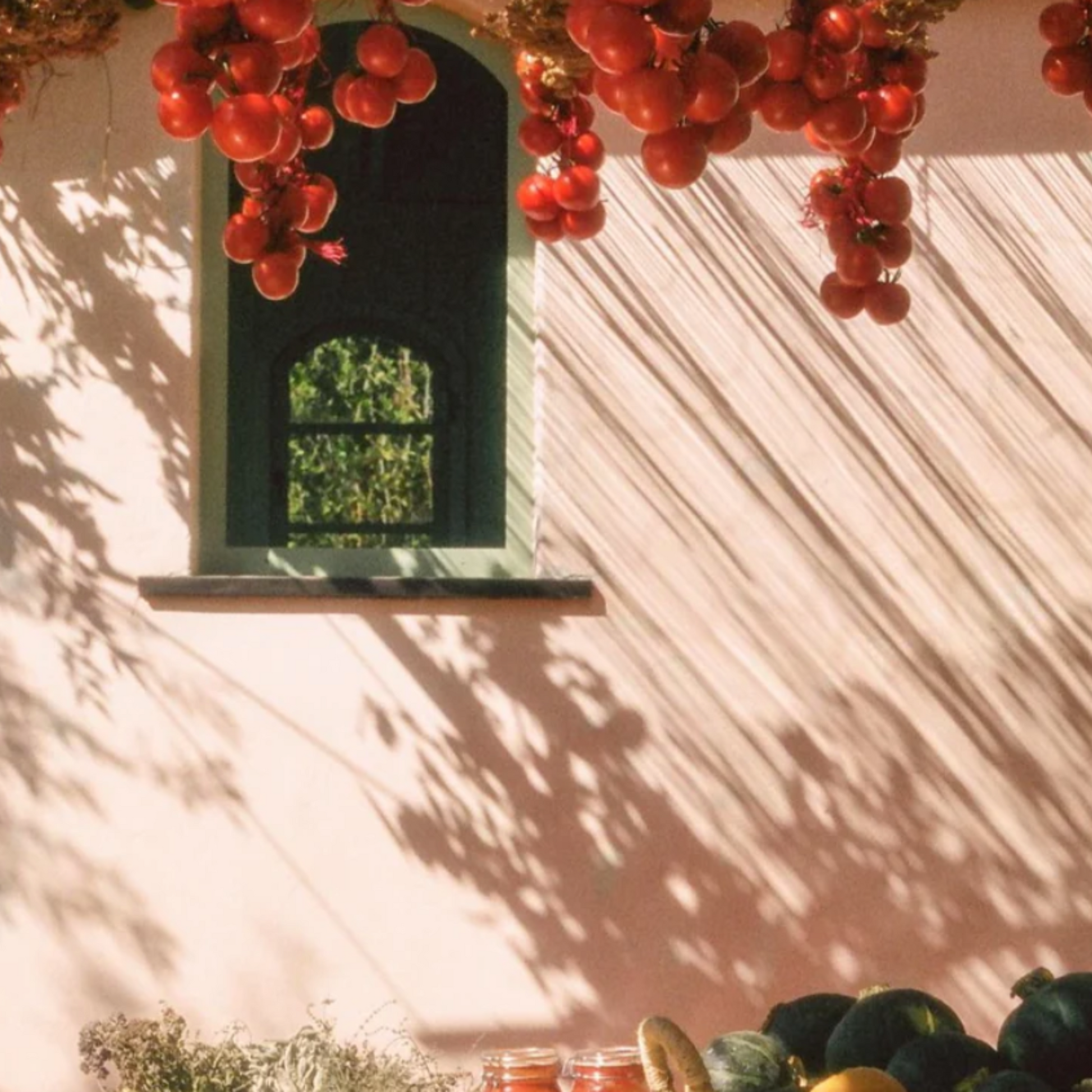 alternate image of flamingo estate roma tomato fragrance oil roll on