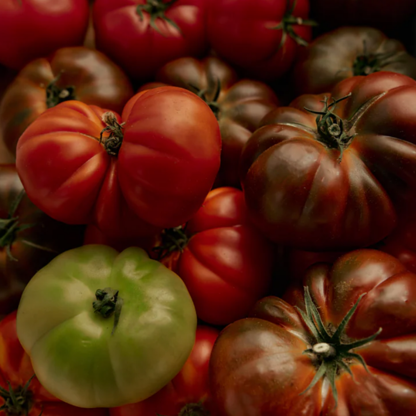 alternate image of flamingo estate roma tomato fragrance oil roll on