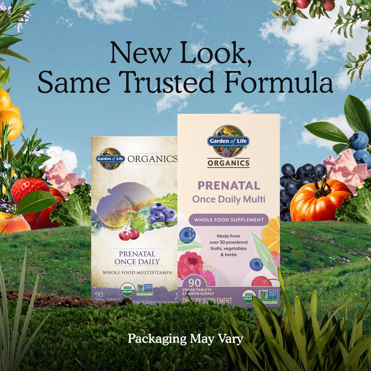 Garden of Life Organics Prenatal Once Daily Multivitamin with 90 tablets against fruit backdrop, new look same formula