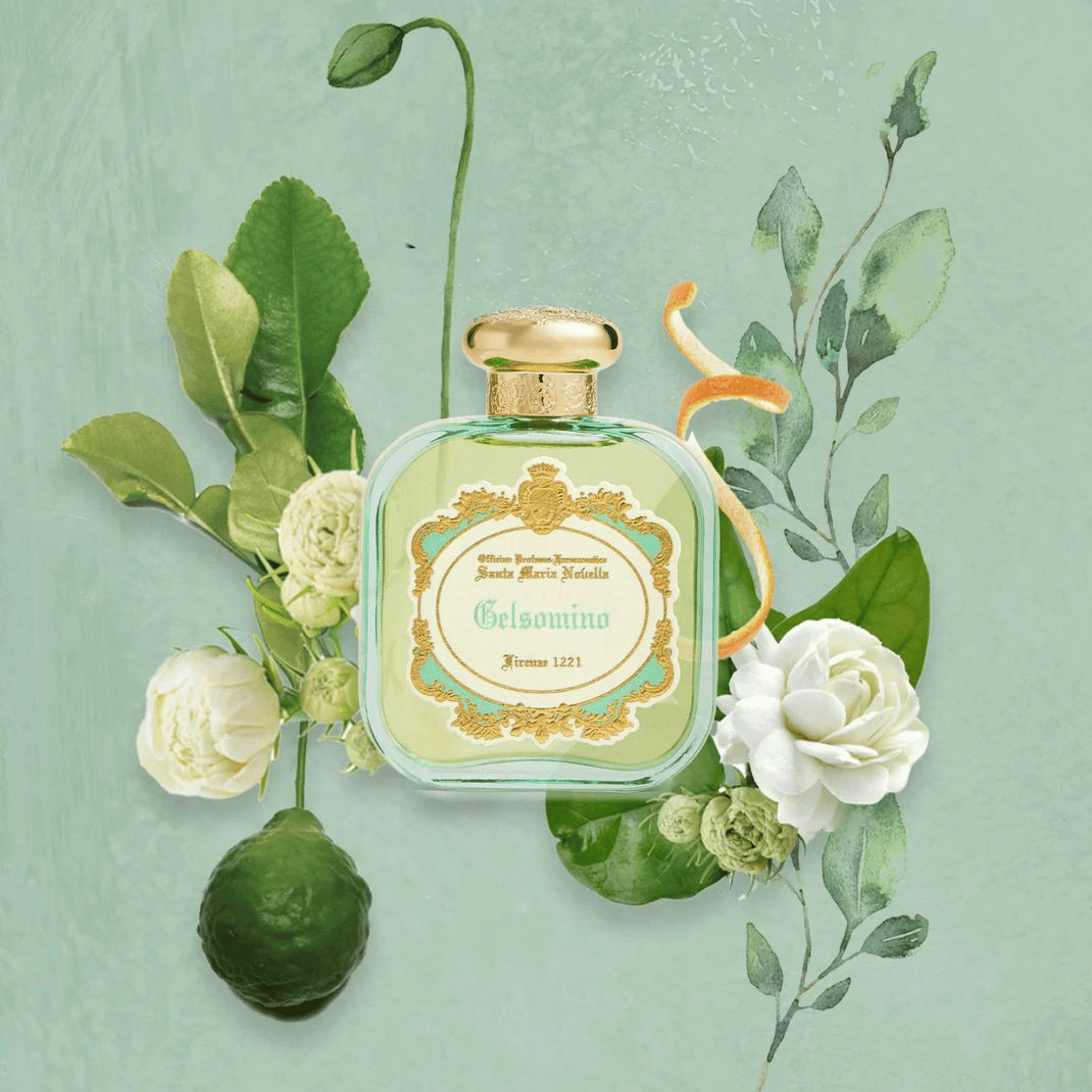 Santa Maria Novella ジェルソミーノビッザリアインチェンソ Santa Santa Maria Novella ジェルソミーノビッザリアインチェンソ Santa