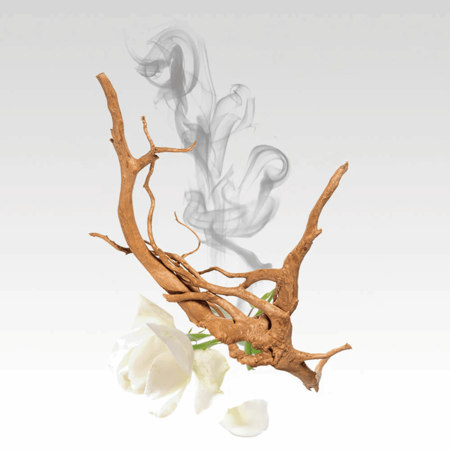 Alternate image of Glasshouse Arabian Nights EDP (0.47 fl oz)