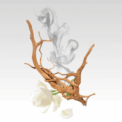 Alternate image of Glasshouse Arabian Nights EDP (0.47 fl oz)