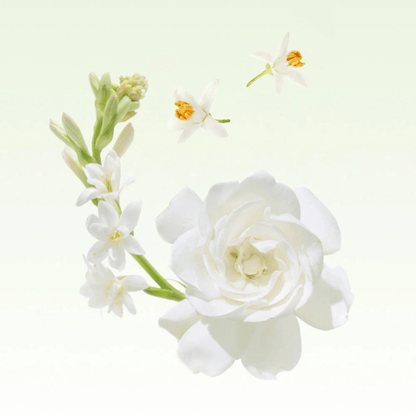 Alternate image of Glasshouse Marseille Memoir Candle (13.4 oz)