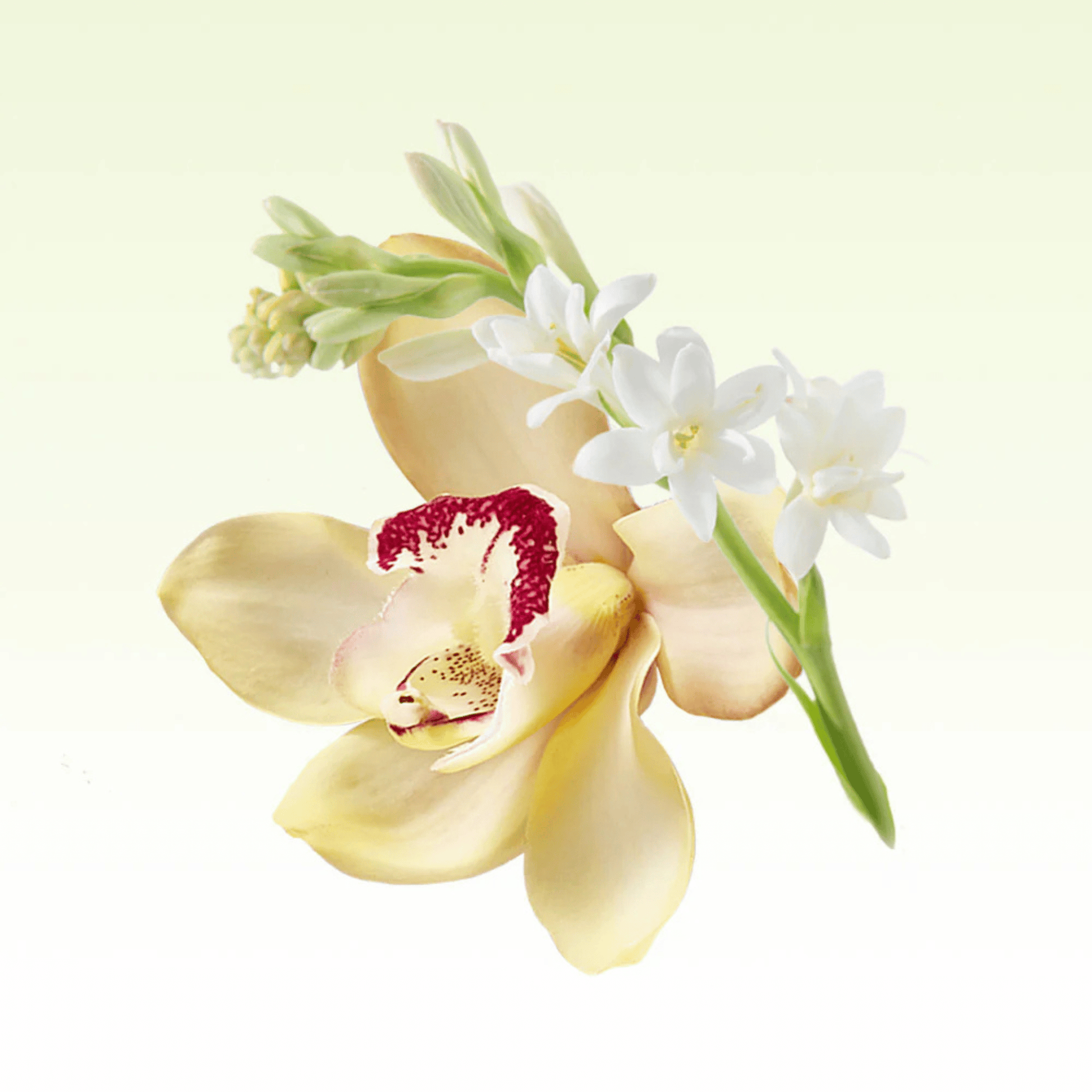 Alternate Image of Radiance In Bloom Candle, flowers