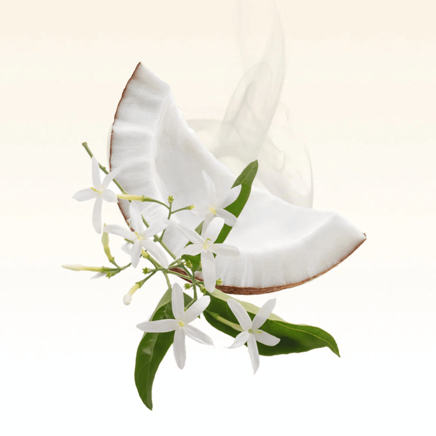 Alternate Image of Saltwater Blush, fragrance notes