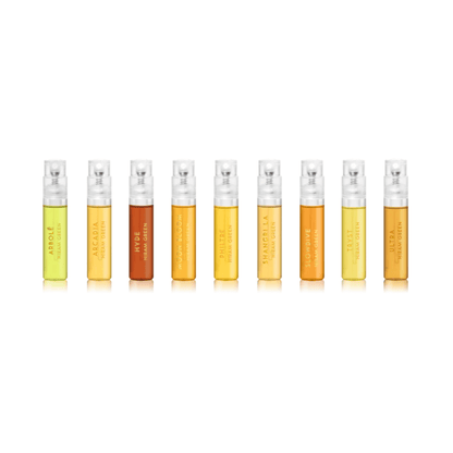 Primary Image of Discovery Set