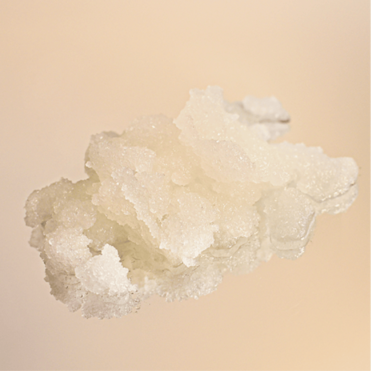 Alternate Image of Almond Milk & Almond Oil Soft Skin Sugar Body Scrub