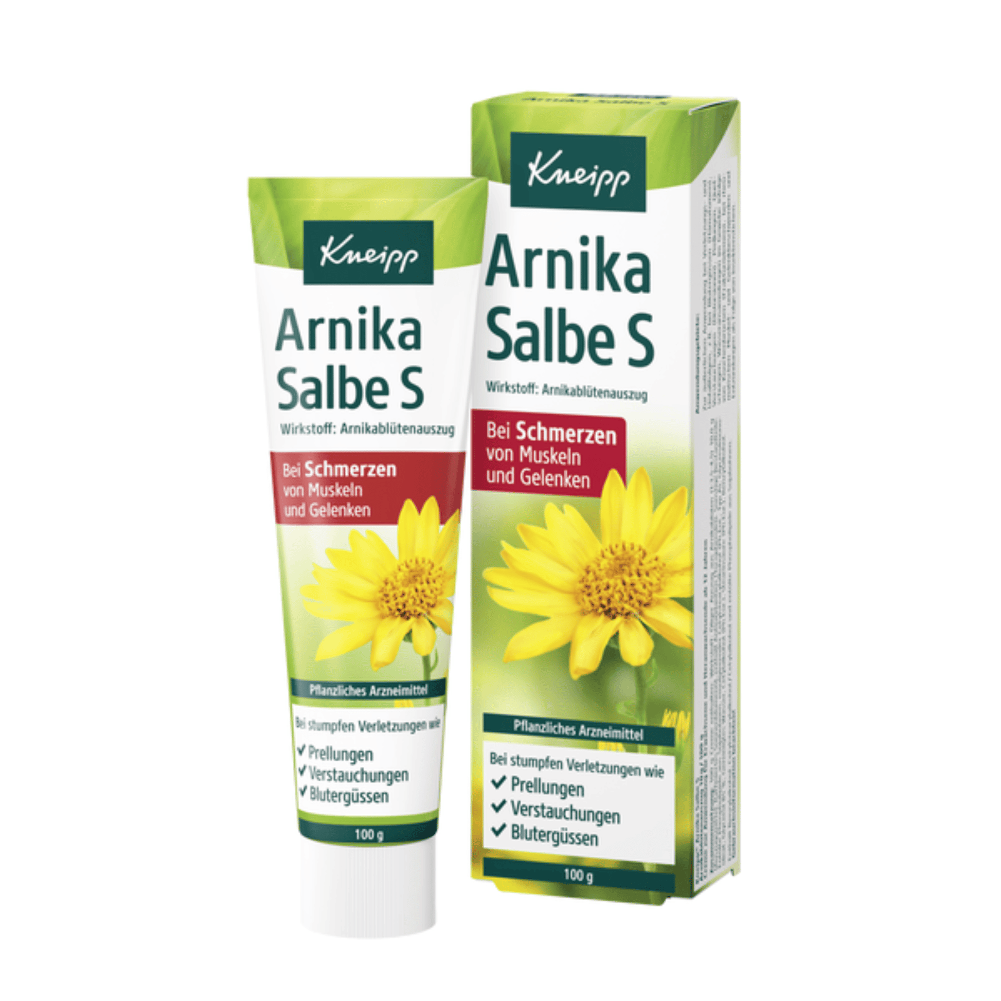 Primary Image of Arnica Ointment S, cream tube and box with German writing