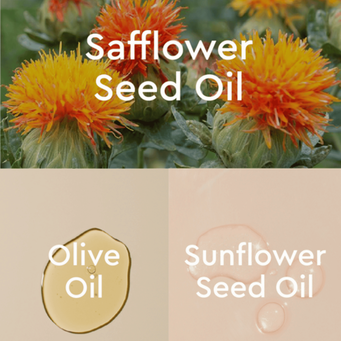 Alternate Image of Safflower & Olive Restoring Body Oil