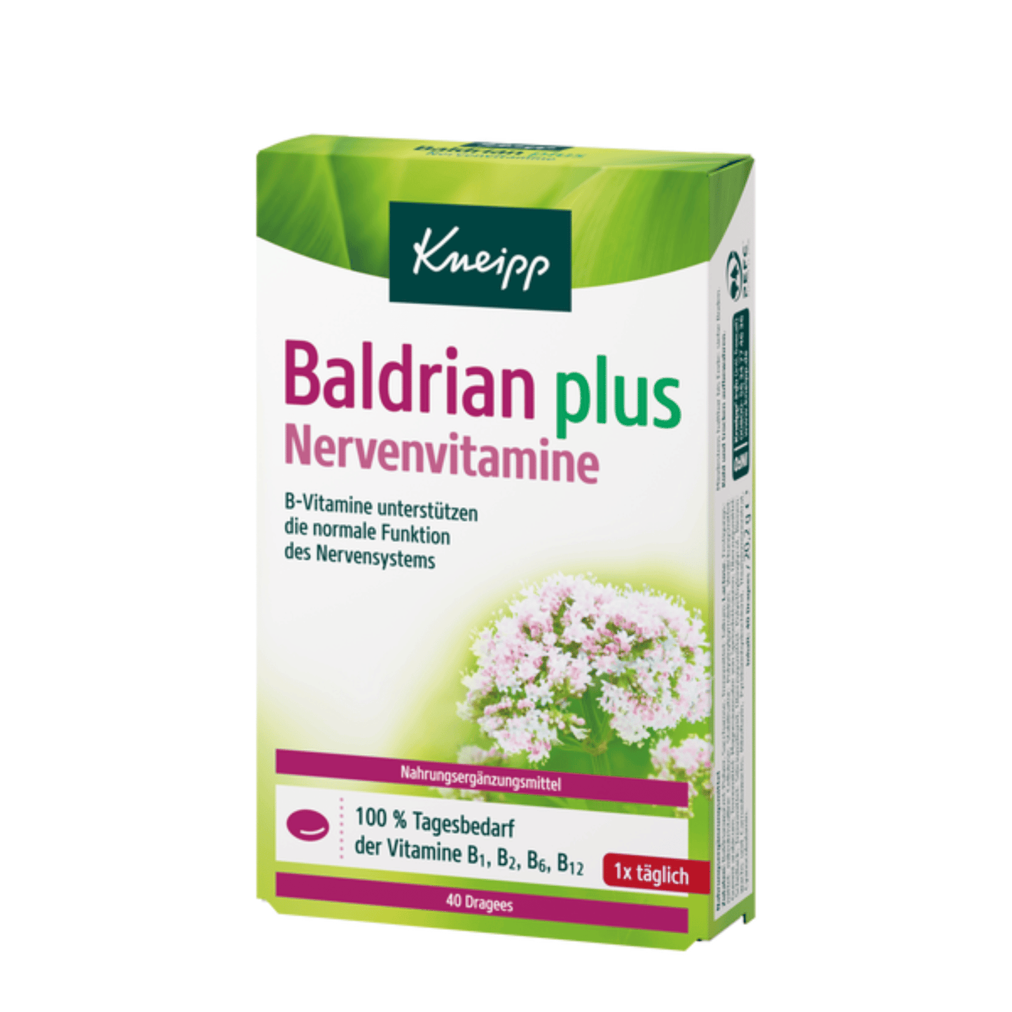 Primary Image of Valerian Plus Nerve Vitamins, herbal supplement box with German writing