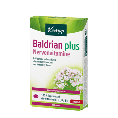 Primary Image of Valerian Plus Nerve Vitamins, herbal supplement box with German writing