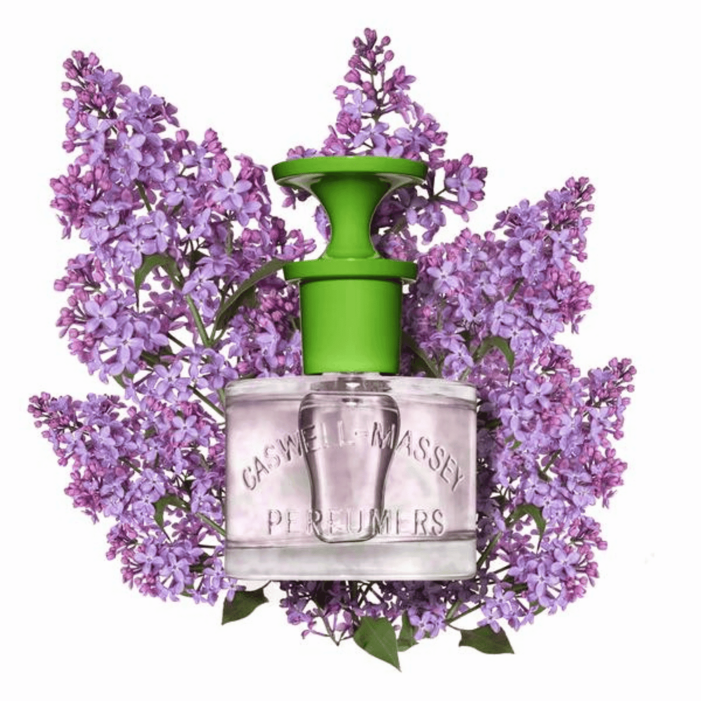 Alternate Image of Lilac EDT