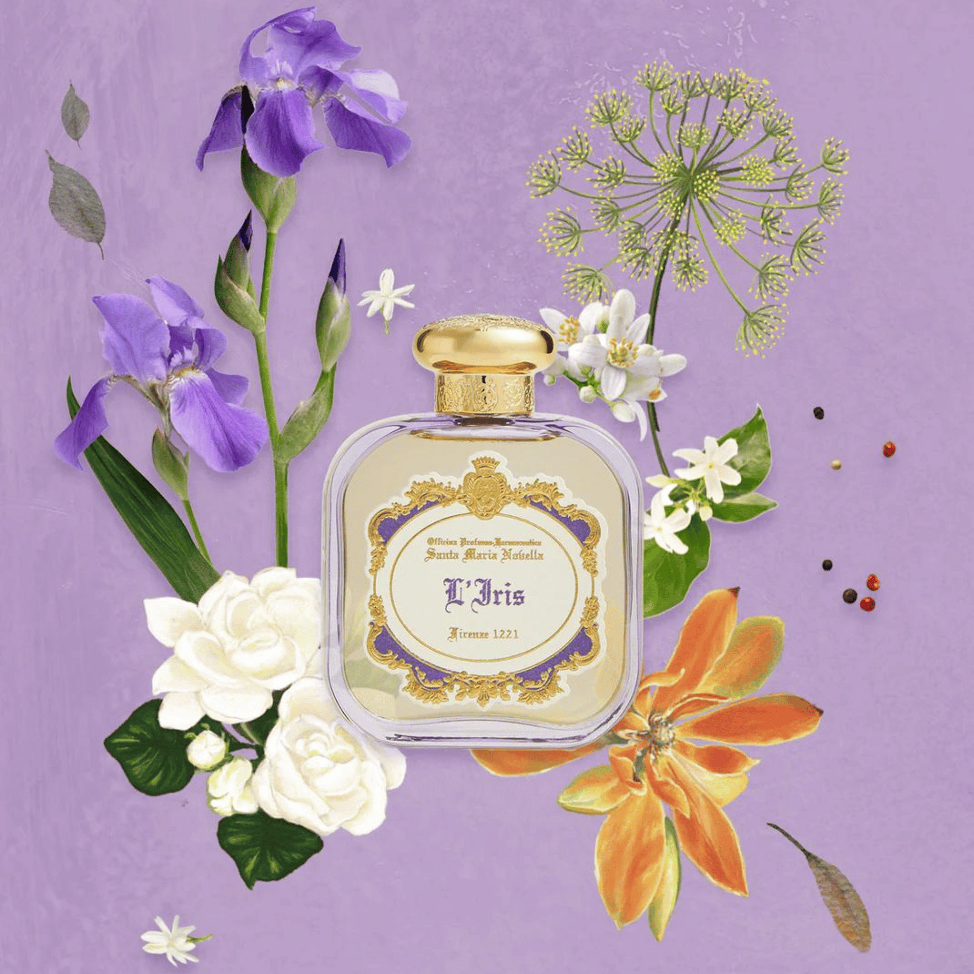 Santa Maria Novella L'Iris Eau De Parfum – Smallflower Santa Maria Novella L'Iris Eau De Parfum – Smallflower