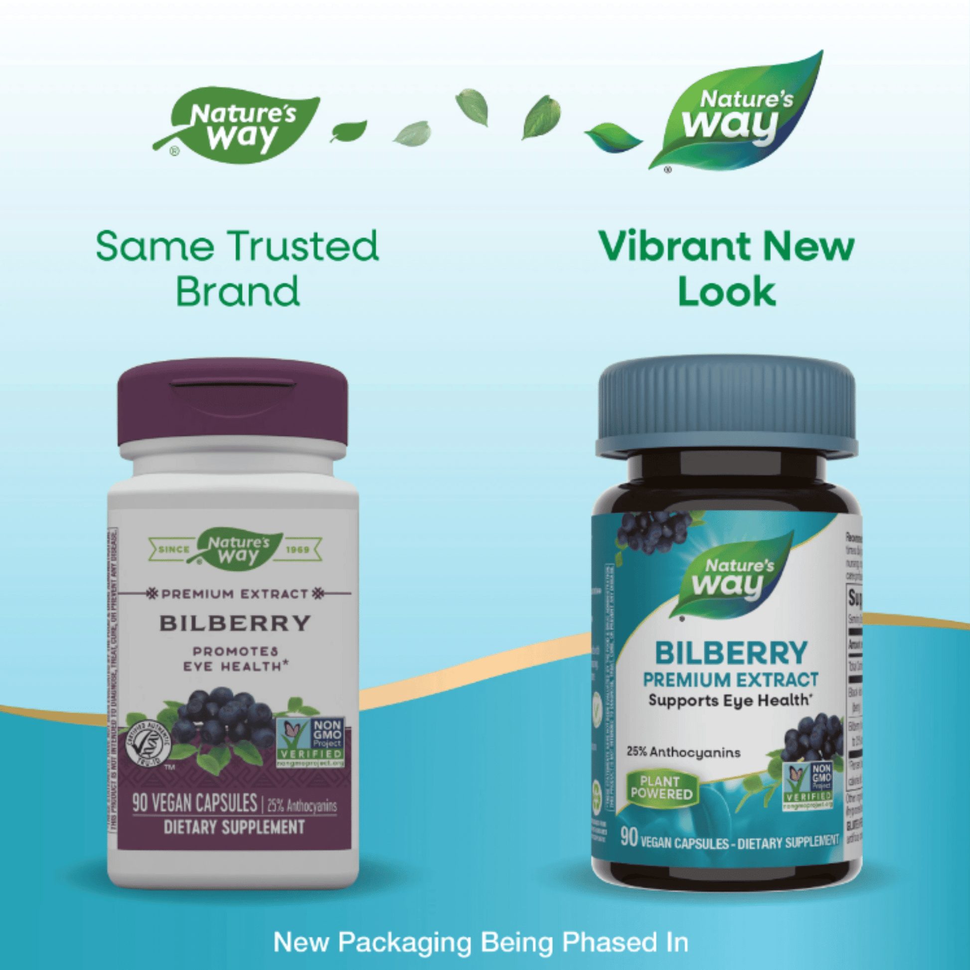 Alternate Image of Standardized Bilberry