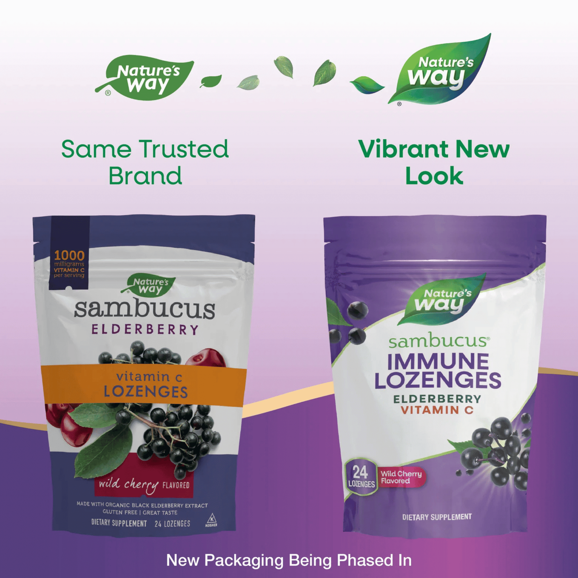 Alternate Image of Sambucus Cherry Flavor Vitamin C Lozenges