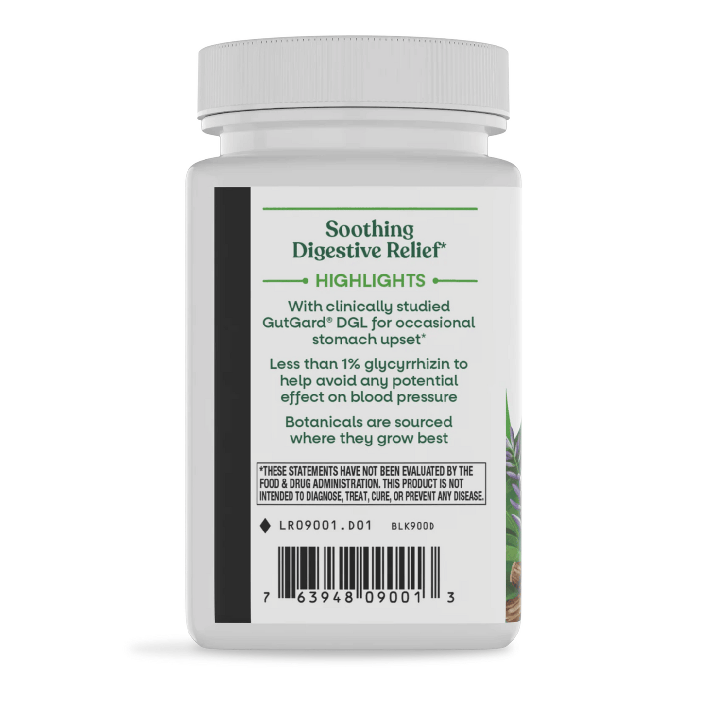 Alternate Image of DGL 