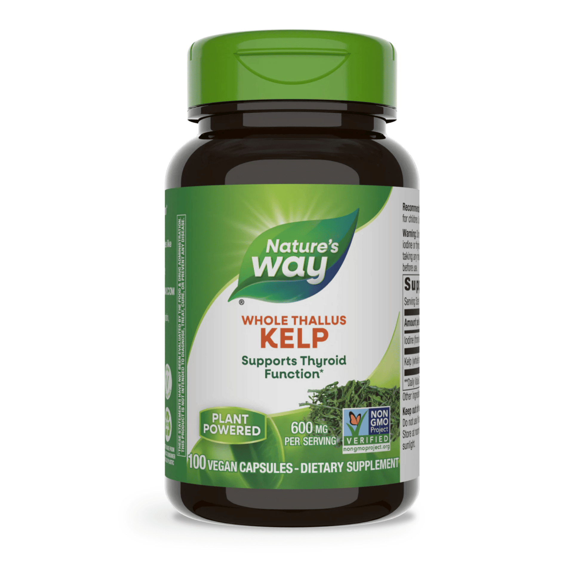 Primary Image of Kelp