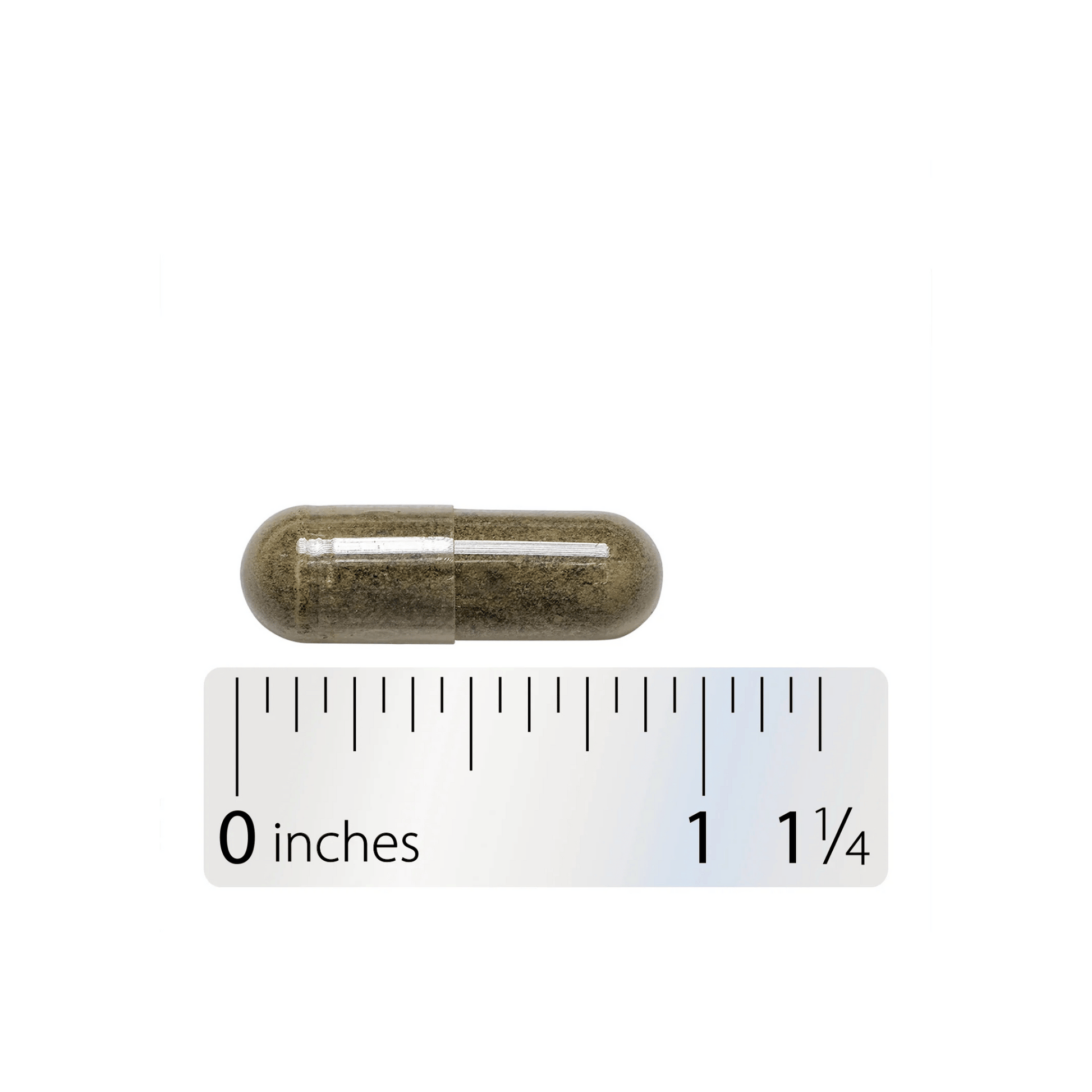 Alternate Image of Kelp