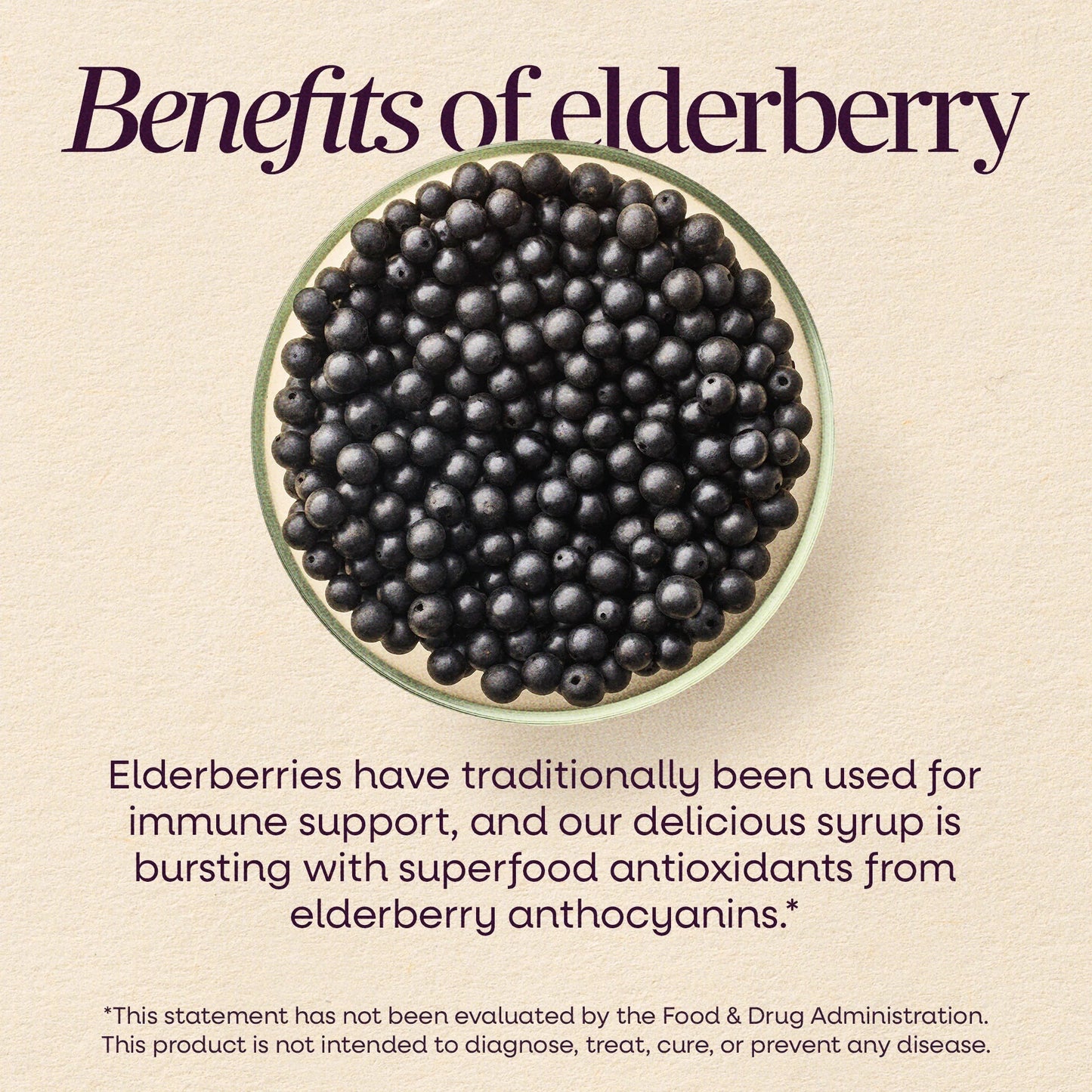 Alternate Image of Sambucus Immune Elderberry Syrup for Kids, berries