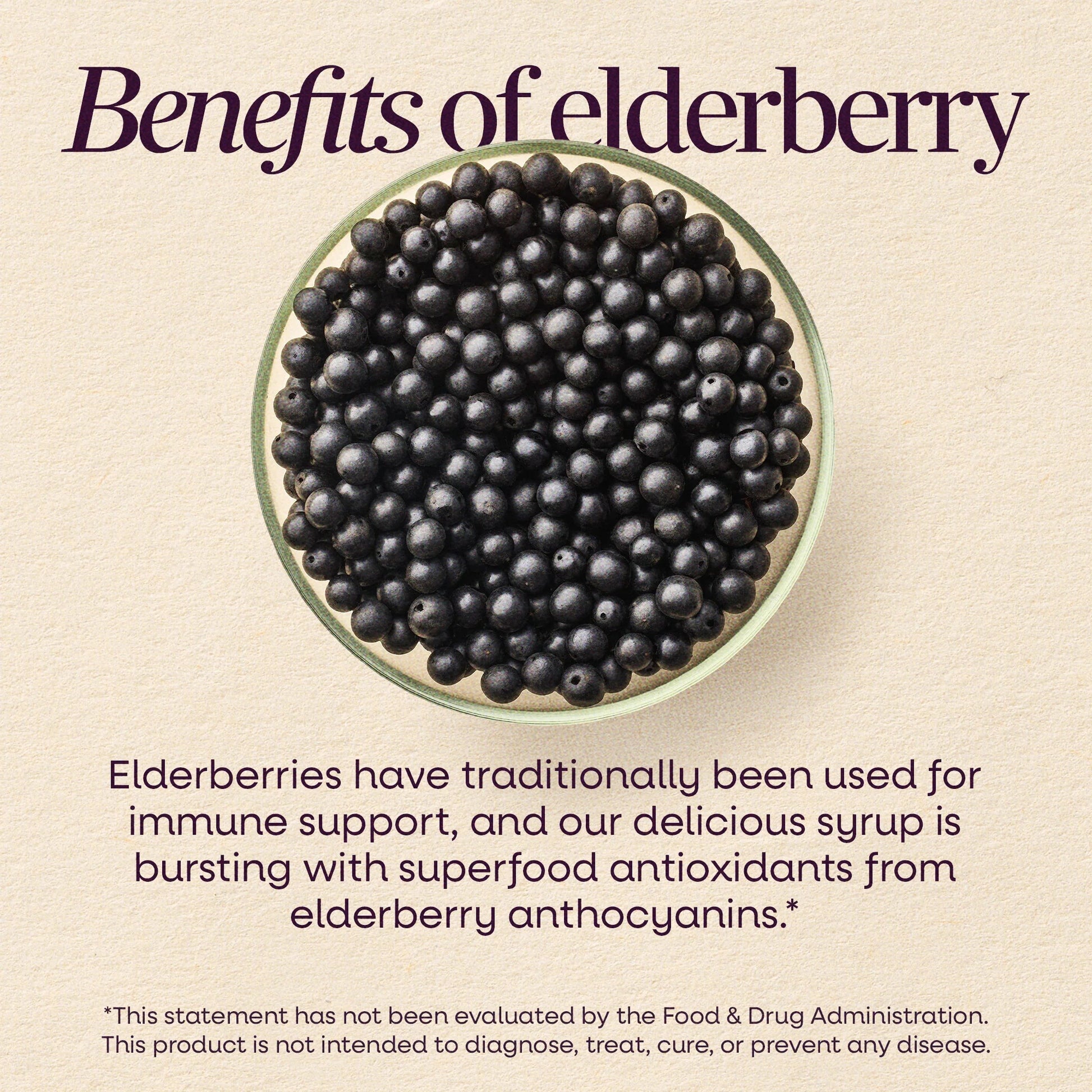 Alternate Image of Sambucus Immune Elderberry Syrup for Kids, berries