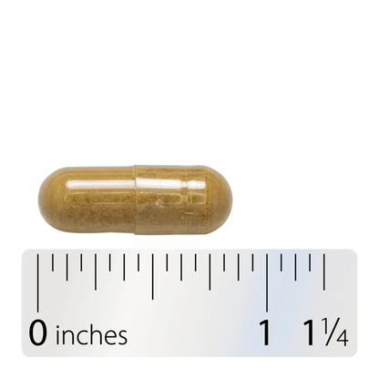 Alternate image of Nature's Way Milk Thistle SE (120 ct)
