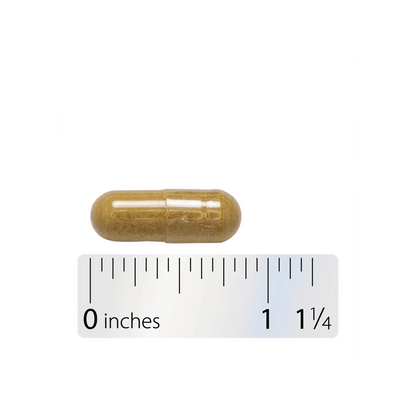 Alternate Image of Milk Thistle Standardized