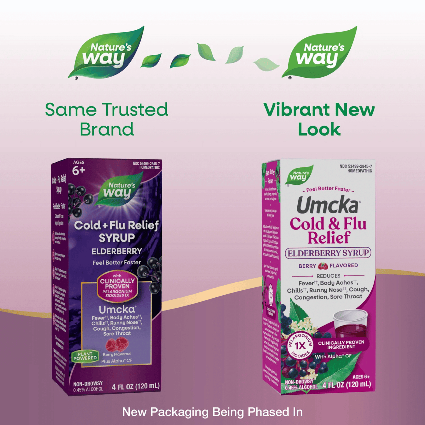 Alternate Image of Umcka Cold & Flu Relief Elderberry Syrup