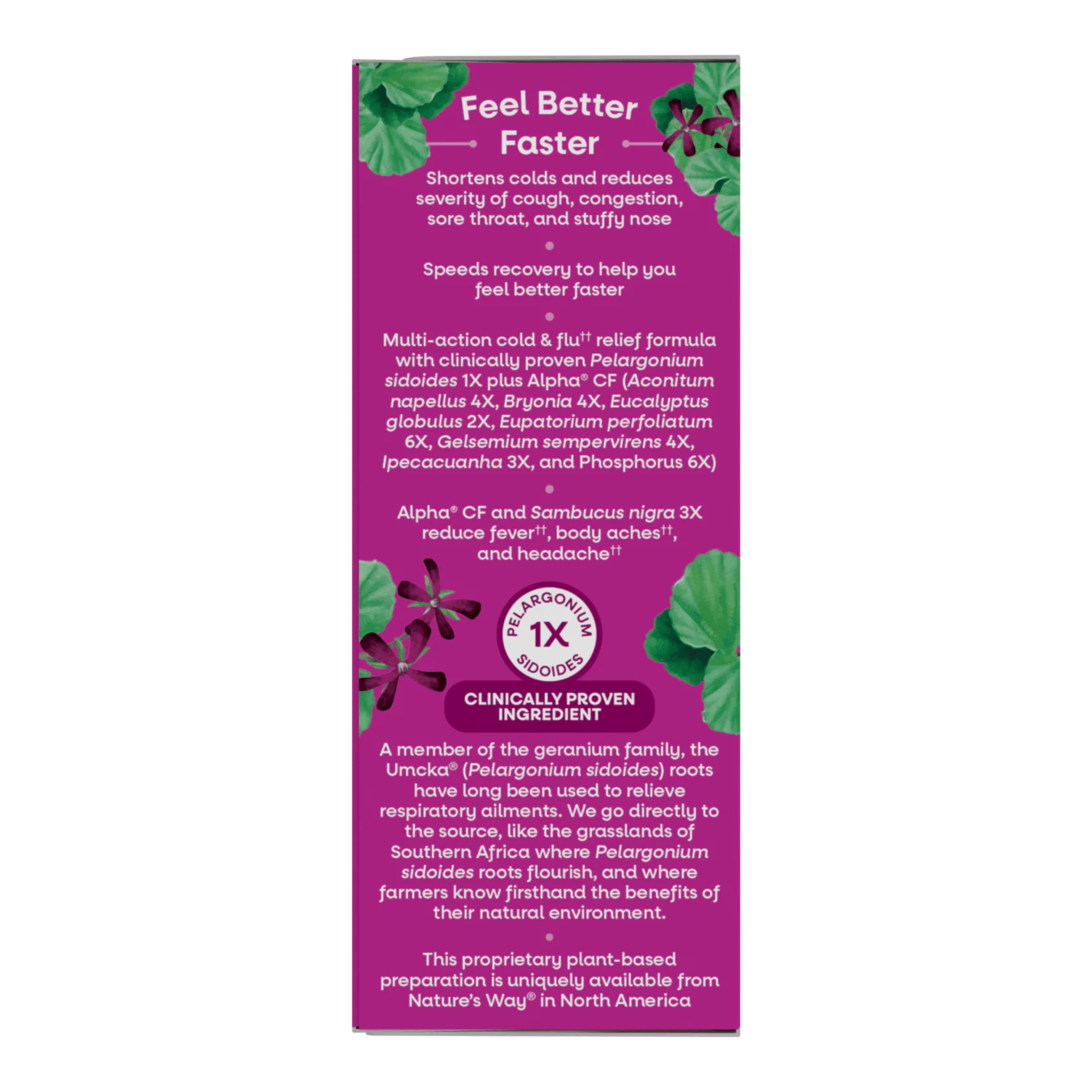 Alternate Image of Umcka Cold & Flu Relief Elderberry Syrup