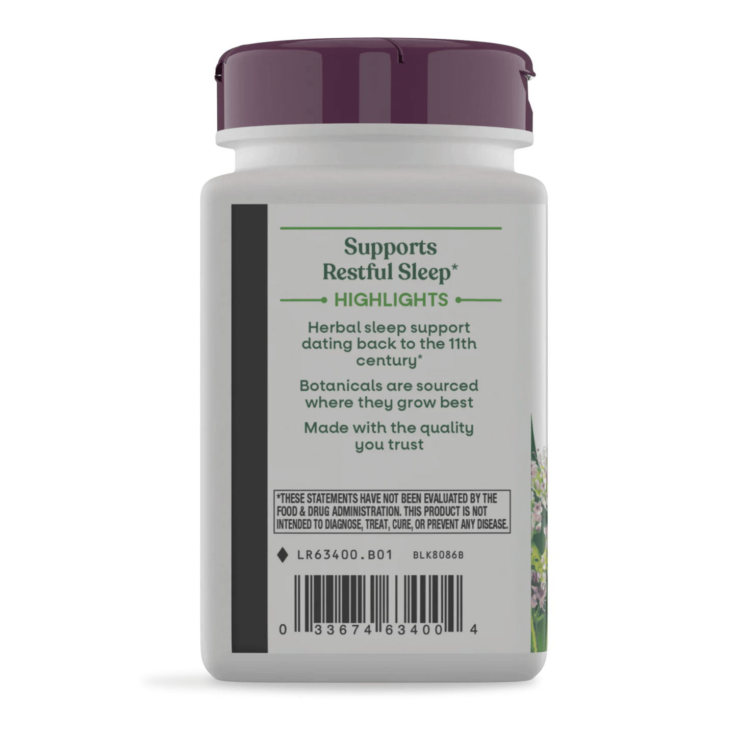 Alternate Image of Valerian 