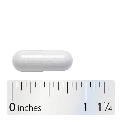 Alternate Image of Vitamin B1 High Potency Thiamin HCl, white capsule