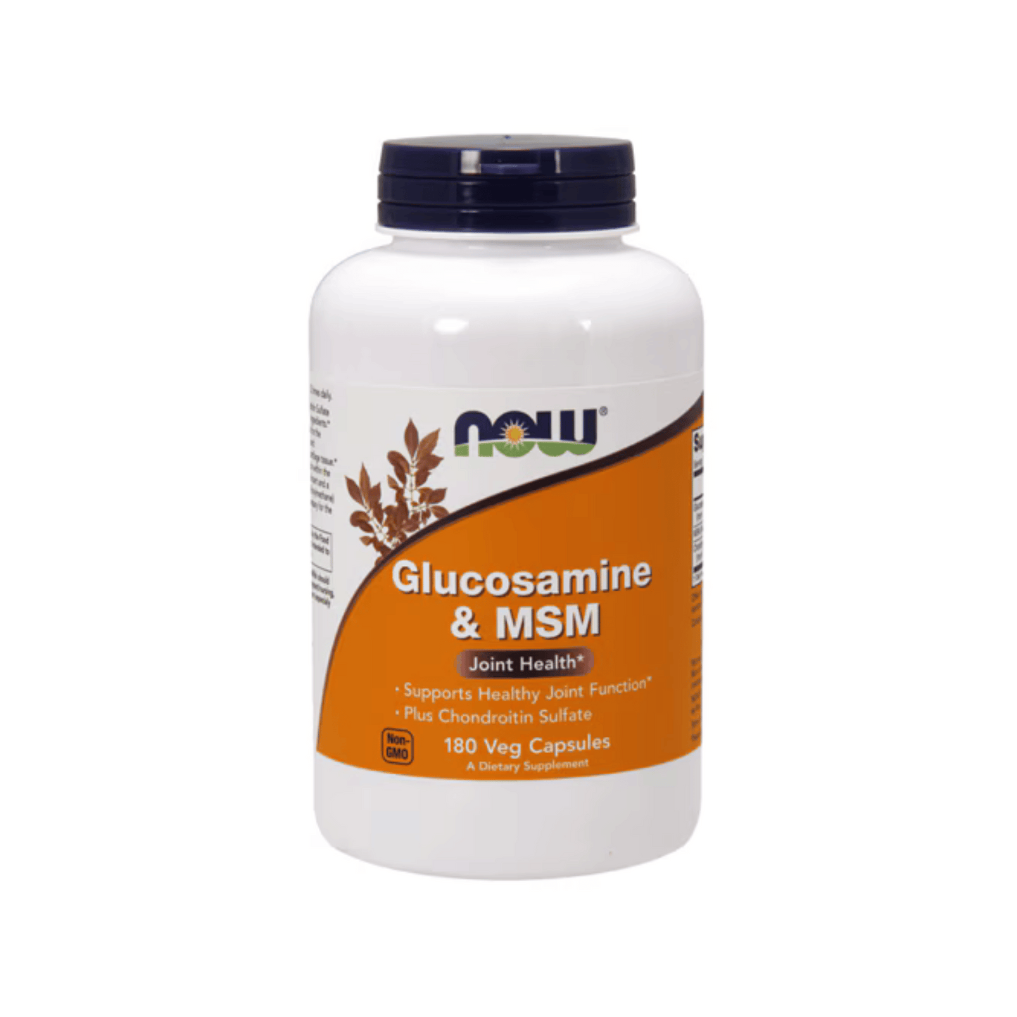 Primary Image of Glucosamine & MSM