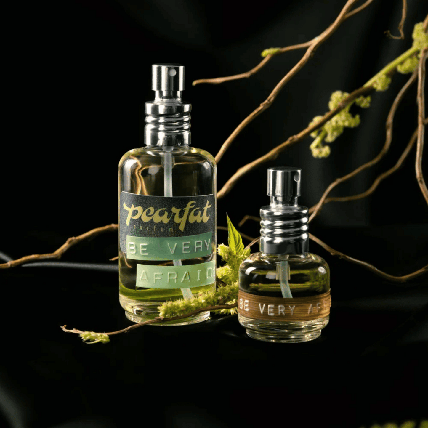 Alternate Image of Be Very Afraid EDP