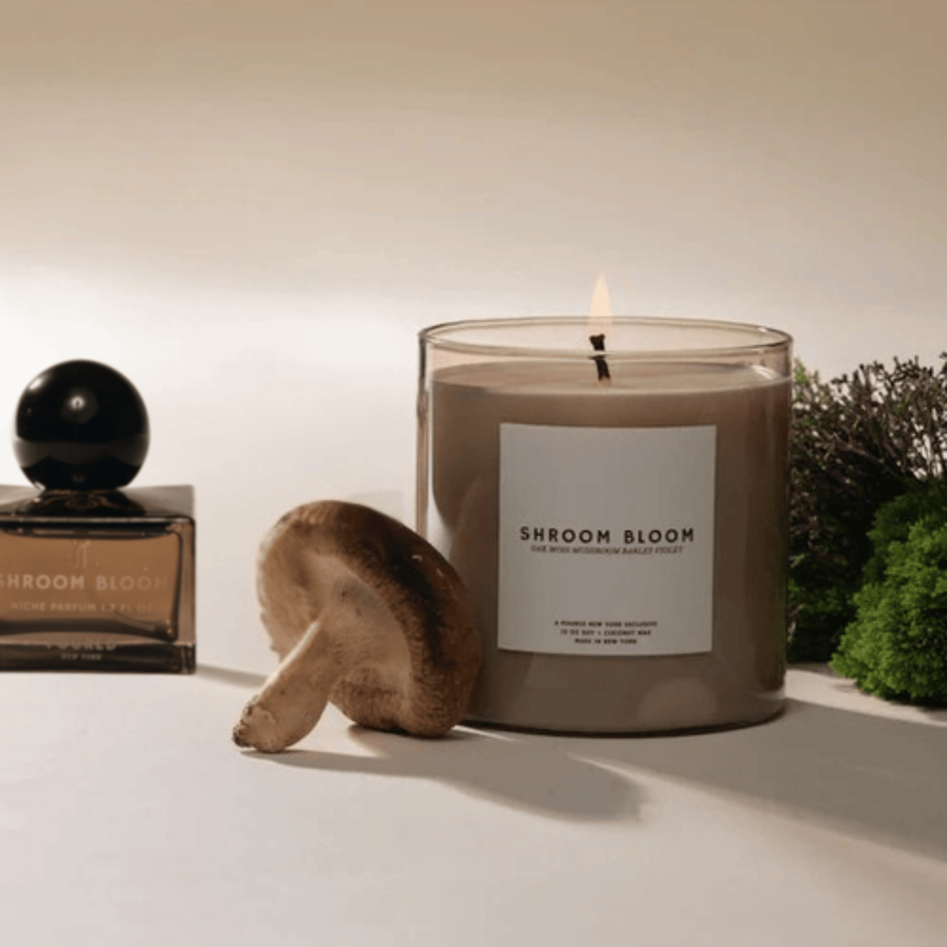 Alternate Image of Shroom Bloom Candle, light brown candle vessel with white label and box and brown square perfume bottle