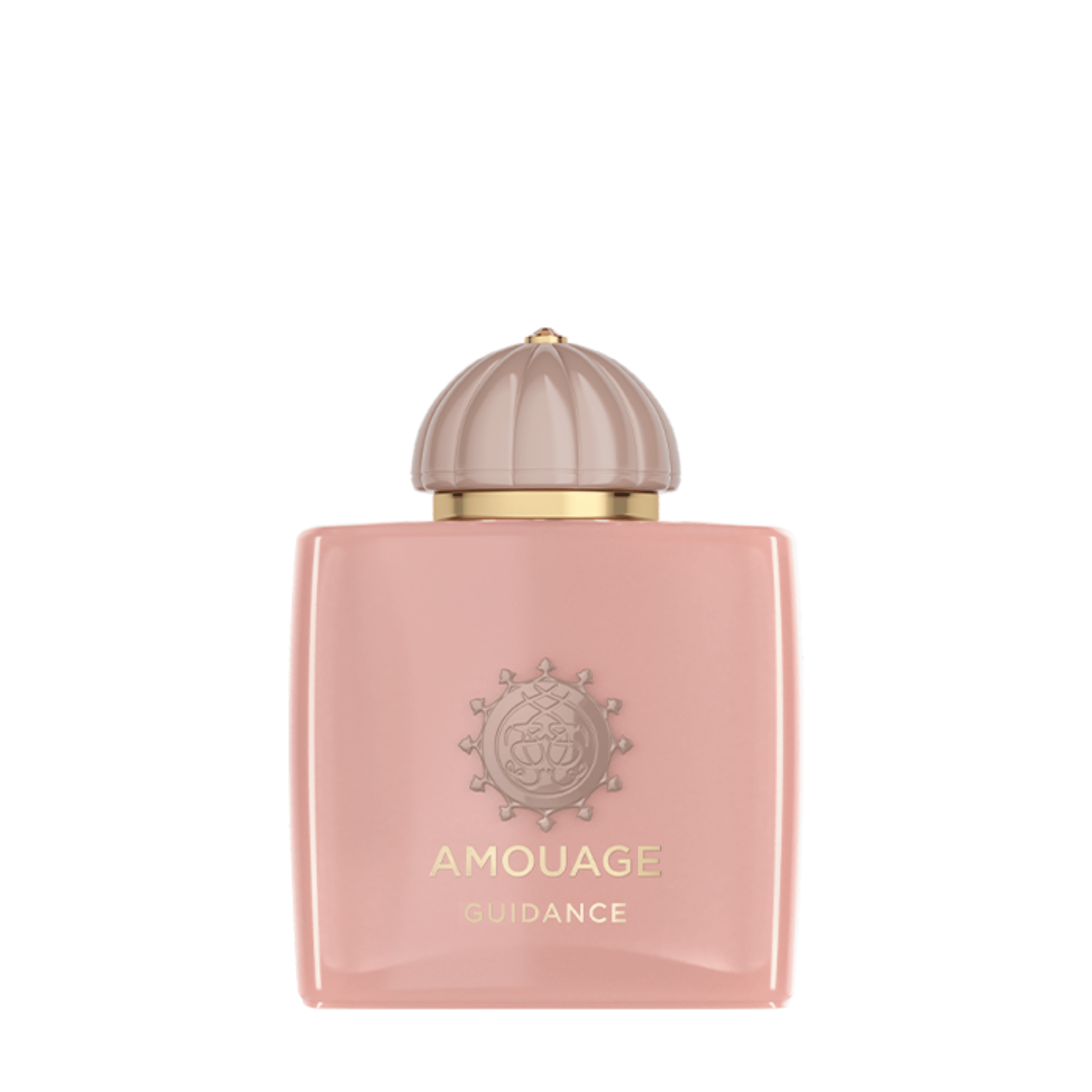 あ*見様 【新品】Amouage Guidance 100ml 並行輸品 productimage_32_-min.png?v=