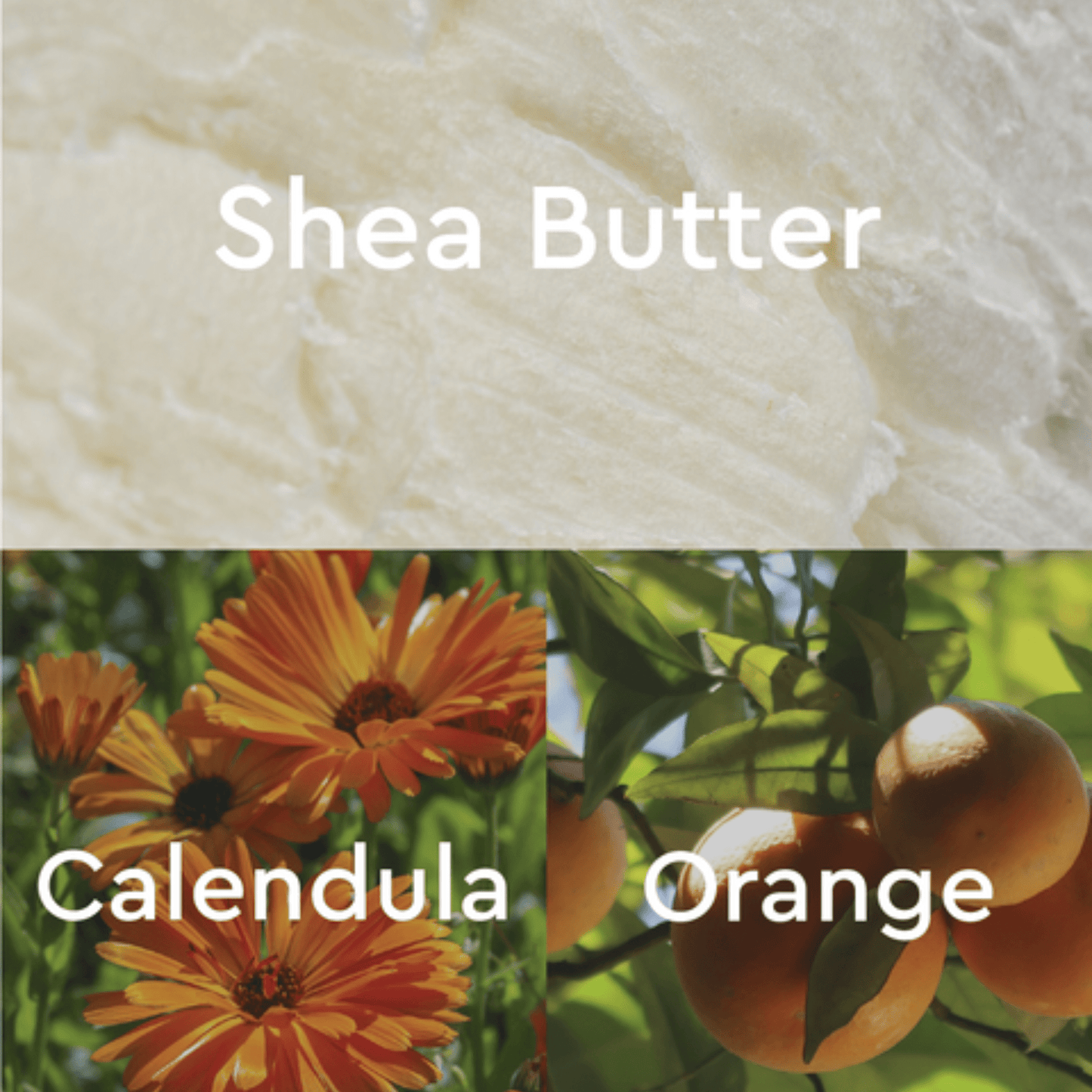 Alternate Image of Calendula & Orange Foot Repair Butter