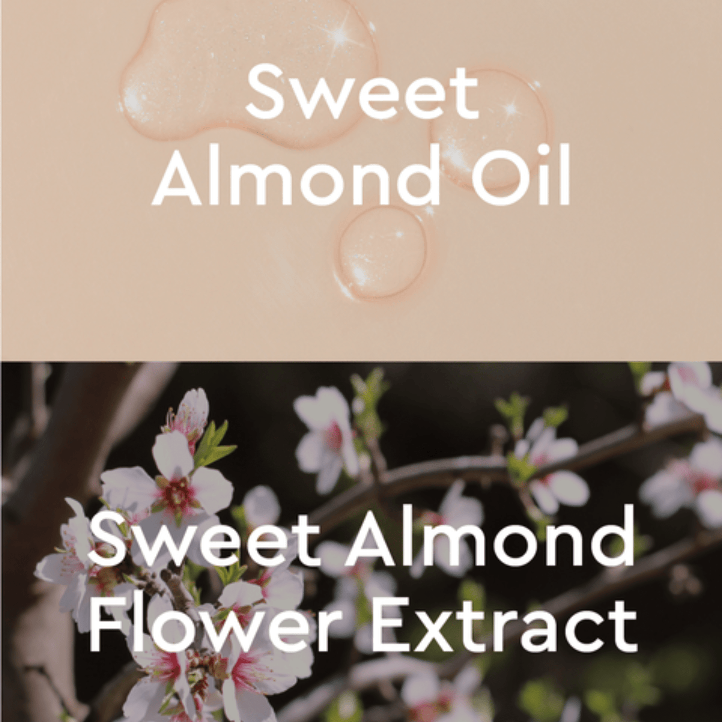 Alternate Image of Almond Blossom Soft Skin Bath Oil