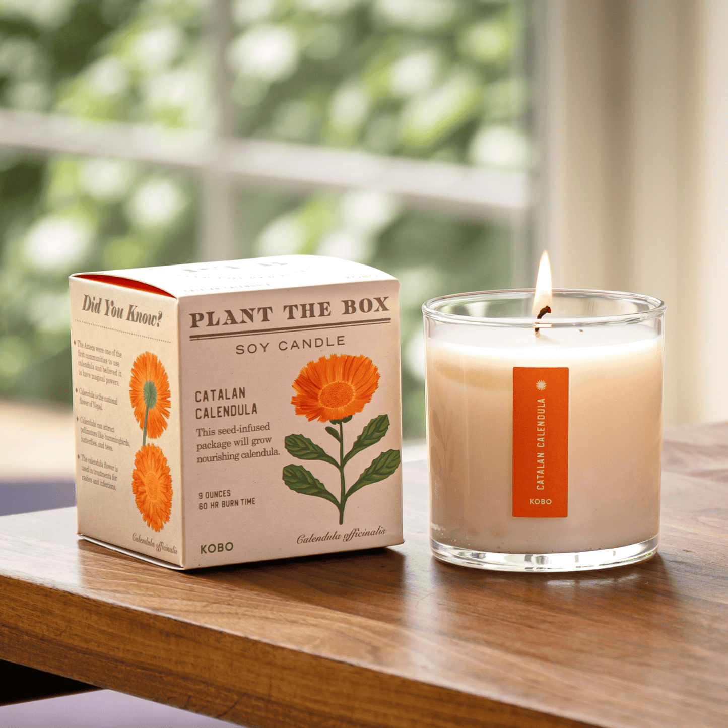 KOBO Catalan Calendula Plant the Box Candle (9 oz) #10068954