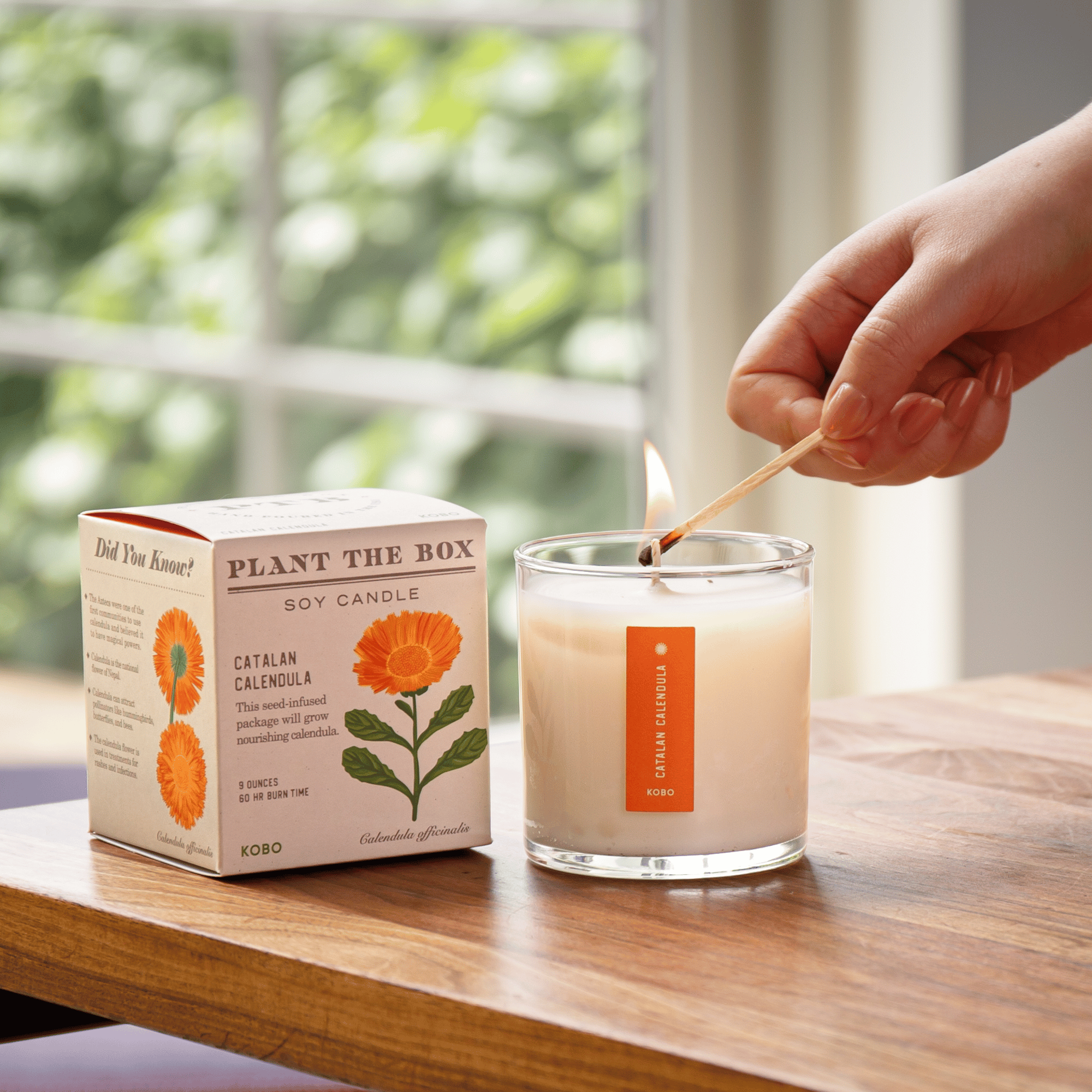 Kobo Catalan Calendula Candle - Thumbnail 4