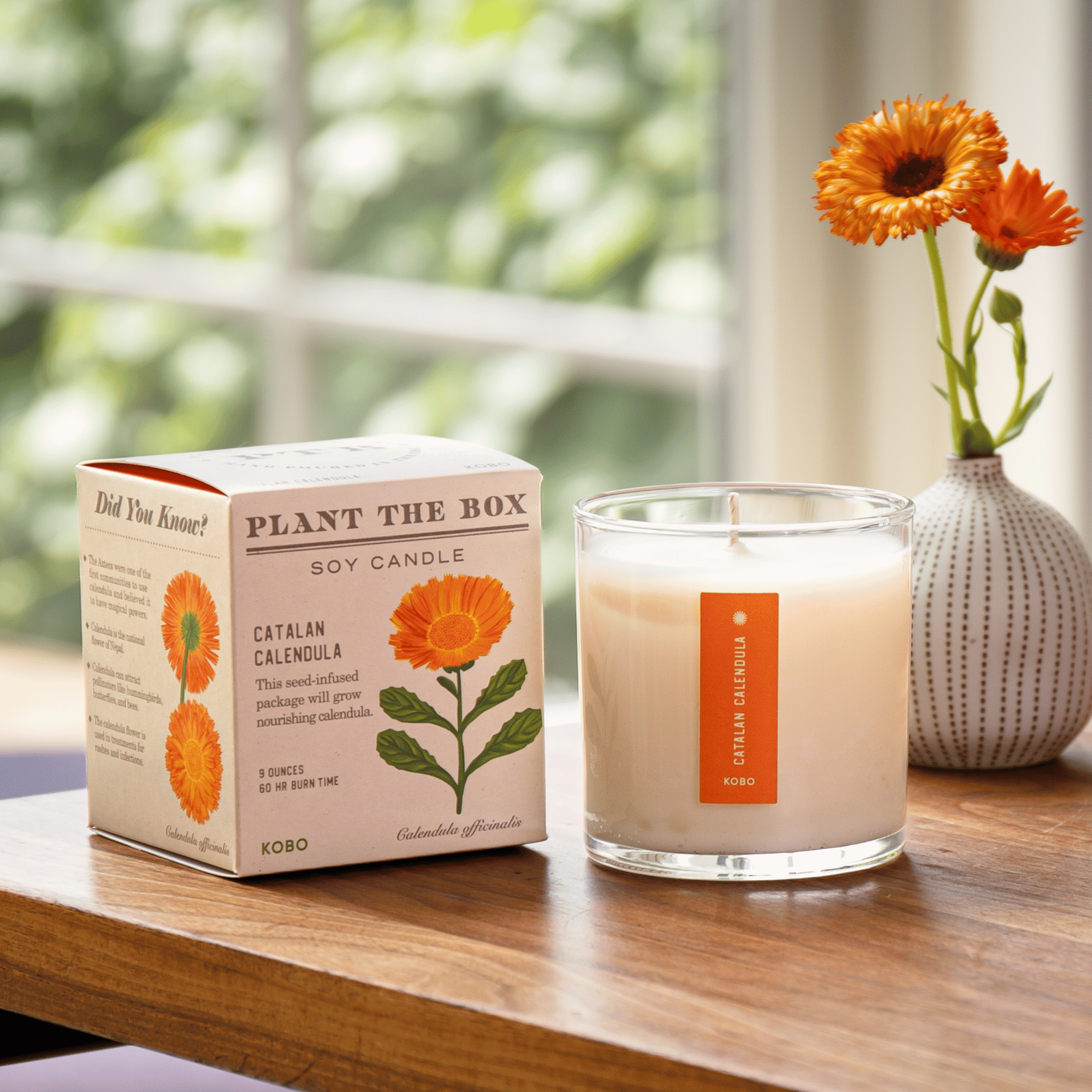 Kobo Catalan Calendula Candle - Thumbnail 2