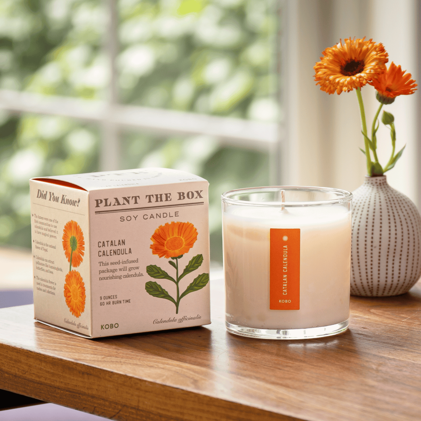 KOBO Catalan Calendula Plant the Box Candle (9 oz) #10068954